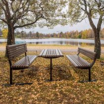 Park Place i mörkbrunt utförande en höstdag i parkmiljö